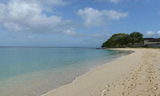 Spring Garden Apartment | Zenbreak Freshwater Beachfront 5