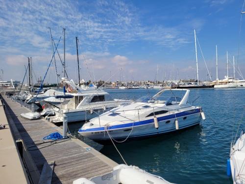 Poblats Maritims Boat Rental | Zeus