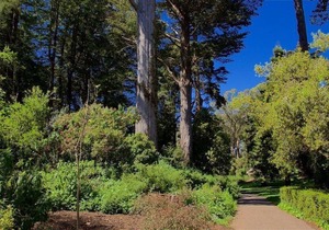 Stanyan Park Hotel