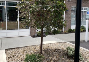 Microtel Inn & Suites by Wyndham - Penn Yan