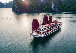 Alisa Premier Cruise