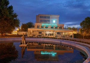 Hotel Sulina International