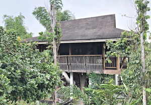 Tree House at Sitio de Amor Leisure Farm|Tree House at Sitio de Amor Leisure Farm