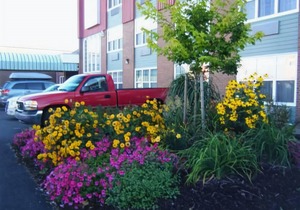 Claymore Inn and Suites