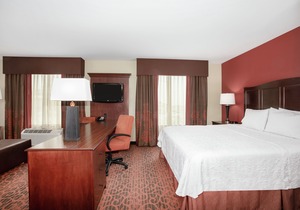 Hampton Inn and Suites Denver/South-RidgeGate