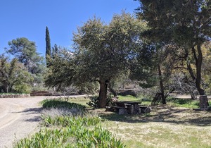 El Rancho Robles