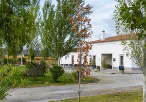 Hotel Rural Arroyo La Plata by Bossh Hotels