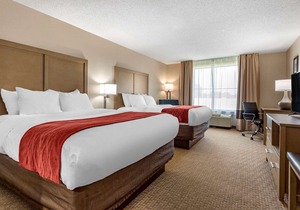 Comfort Inn & Suites Farmington - Victor