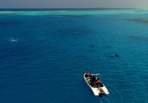Fihalhohi Island Resort