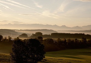 Aschbacher Hof