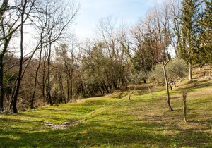 Villa de Luccheri