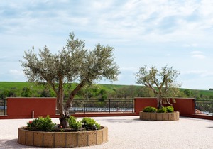Il Podere di Marfisa