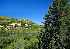 Kallikoros Country Resort & Spa