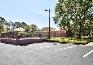 Best Western Apalach Inn