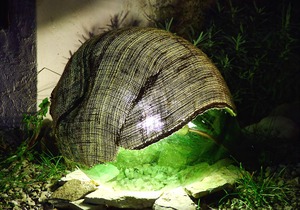 Altrocanto