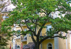 Hotel Park Villa Vienna