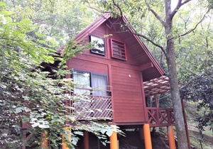 Kurasako Onsen Sakura