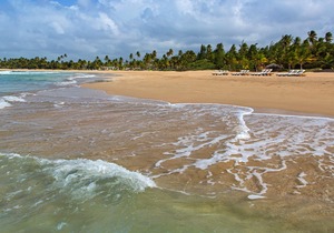 Best Western Plus Parkway Hotel