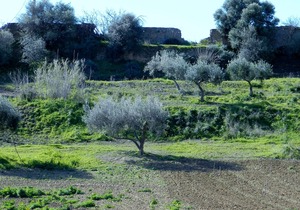 Agriturismo Passo dei Briganti