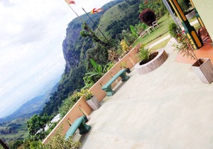 The View Ella