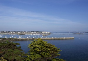Ibis Roscoff