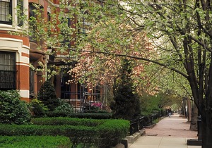 Best Western Plus New Englander