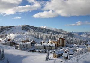 Adonis Valberg