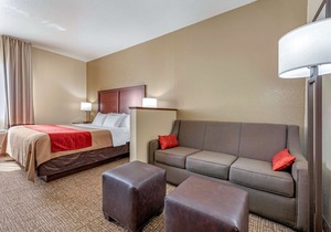 Comfort Inn Fremont