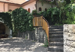 Domus Verdiana