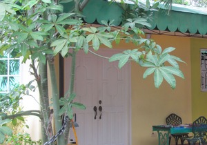 Villa 301 B&B