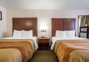 Comfort Inn Elko