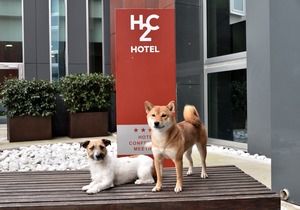 H2C Hotel Milanofiori