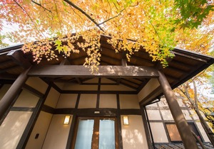 Yufuin Onsen Toshoan