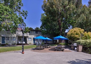 Best Western Corte Madera Inn