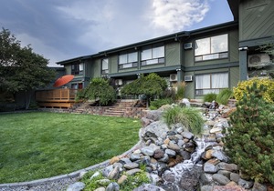 Best Western Plus Tree House