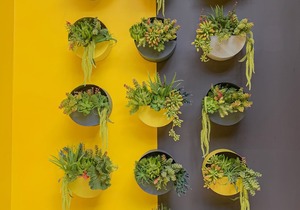 The Twizt - Lifestyle Hostel