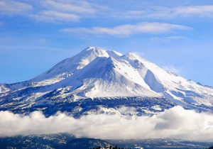Best Western Plus Tree House