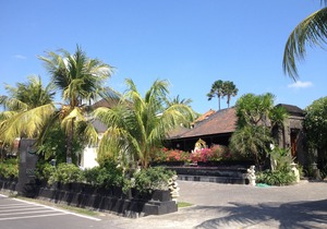 Bali Nyuh Gading Villas