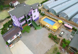 La VIE En Rose Pension Taean