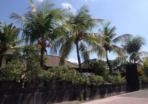 Bali Nyuh Gading Villas