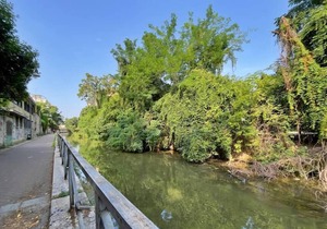 Enchanting Apartment on the Naviglio della Martesana