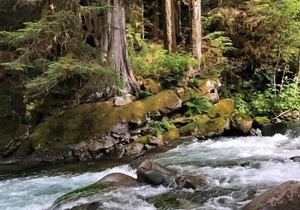 Money Creek Chalet- stunning, bright & spacious w/ hot tub for 8 +pets