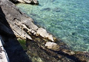 One bedroom apartment near beach Sobra, Mljet (A-15993-a)