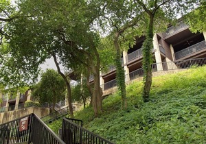 Spacious Waterfront Condo on the Comal River