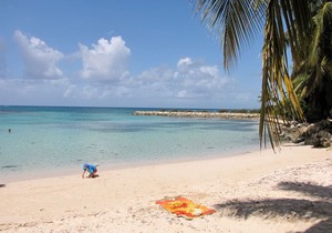 Paradise