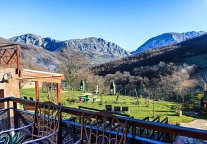 Stunning views of the mountain and forest.