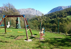 Stunning views of the mountain and forest.