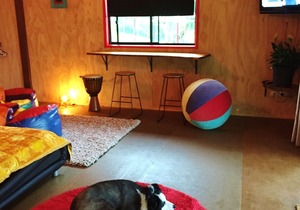 Pet Friendly Timber Gym Cabin