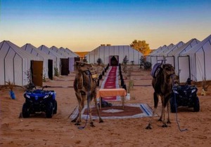 Unique Desert Camp