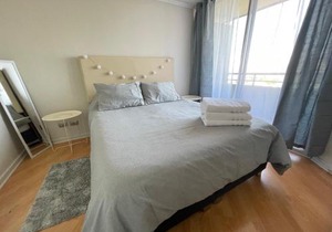 Comfy and great location apartment in providencia